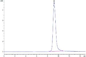 Size-exclusion chromatography-High Pressure Liquid Chromatography (SEC-HPLC) image for Interleukin 13 (IL13) (AA 19-132) protein (His tag) (ABIN7274876)