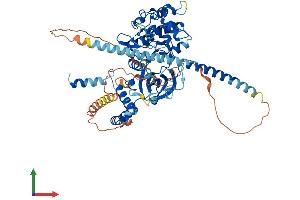 Protein Structure (PS) image for Dystrophia Myotonica-Protein Kinase (DMPK) (AA 1-629) protein (His tag) (ABIN7553725)