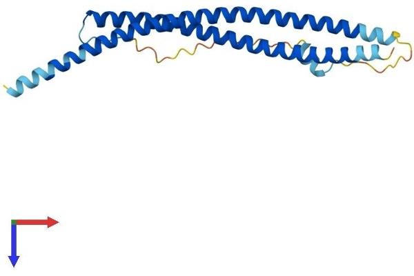 SNAP25 Protein (AA 1-206) (His tag)