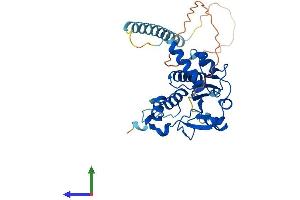 AlphaFold protein structure predicition of Human Recombinant TRMT10B Protein, UniprotID Q6PF06