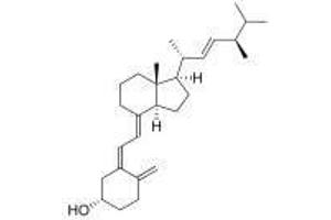 Image no. 1 for Vitamin D2 peptide (Ovalbumin) (ABIN5666412)