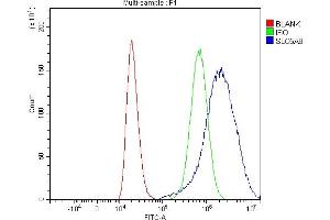 Flow Cytometry analysis of 293T cells using anti-SLC5A8 antibody (ABIN7601286).