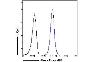 (ABIN7013882) Flow cytometric analysis of paraformaldehyde fixed K562 cells (blue line), permeabilized with 0.