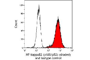 Flow Cytometry (FACS) image for anti-NF-KappaB2 (/p52) (AA 1-50) antibody (ABIN7795782)