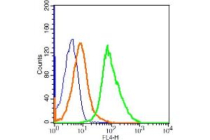 Flow Cytometry (FACS) image for anti-Twinfilin, Actin-Binding Protein 1 (TWF1) (AA 351-422) antibody (AbBy Fluor® 647) (ABIN912500)