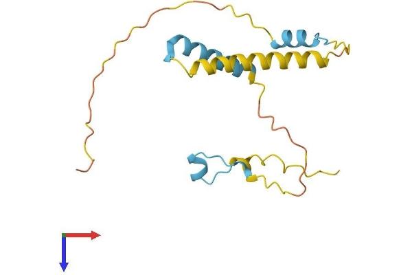 DPPA3 Protein (AA 1-159) (His tag)