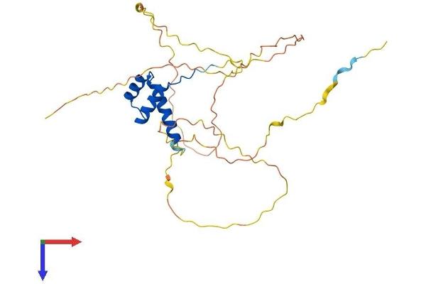 DLX3 Protein (AA 1-287) (His tag)