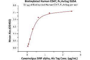 Immobilized Biotinylated Human CD47, Fc,Avitag (ABIN2870532,ABIN2870533) at 1 μg/mL (100 μL/well) on streptavidin precoated (0. (CD47 Protein (CD47) (AA 19-139) (Fc Tag,AVI tag,Biotin))