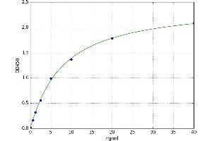 Flotillin 2 (FLOT2) ELISA Kit