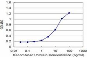 Detection limit for recombinant GST tagged PURA is approximately 1ng/ml as a capture antibody. (PURA Antikörper  (AA 183-292))