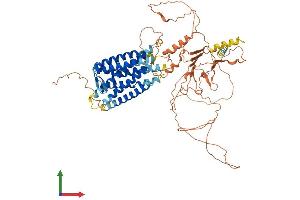 Protein Structure (PS) image for G Protein-Coupled Receptor 149 (GPR149) (AA 1-732) protein (His tag) (ABIN7557296)