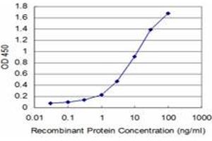 Detection limit for recombinant GST tagged PCNA is approximately 0. (PCNA Antikörper  (AA 78-177))