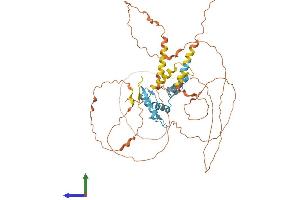 Protein Structure (PS) image for Kruppel-Like Factor 11 (KLF11) (AA 1-502) protein (His tag) (ABIN7559482)