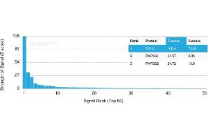 Analysis of Protein Array containing more than 19,000 full-length human proteins using TIM-3 Mouse Monoclonal Antibody (TIM3/3113) Z- and S- Score: The Z-score represents the strength of a signal that a monoclonal antibody (MAb) (in combination with a fluorescently-tagged anti-IgG secondary antibody) produces when binding to a particular protein on the HuProtTM array. (TIM3 Antikörper  (AA 22-202))