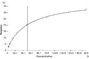 Surface Plasmon Resonance (SPR) image for Interleukin 5 (IL5) (AA 21-133) protein (His-Avi Tag,Biotin) (ABIN7274960)