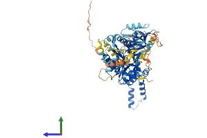 Protein Structure (PS) image for Membrane Protein, Palmitoylated 4 (MAGUK P55 Subfamily Member 4) (MPP4) (AA 1-635) protein (His tag) (ABIN7558009)