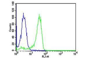Flow Cytometry (FACS) image for anti-Nuclear Factor of kappa Light Polypeptide Gene Enhancer in B-Cells 1 (NFKB1) antibody (ABIN1882050)