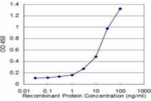 Detection limit for recombinant GST tagged CSNK2A2 is approximately 0. (CSNK2A2 Antikörper  (AA 1-100))