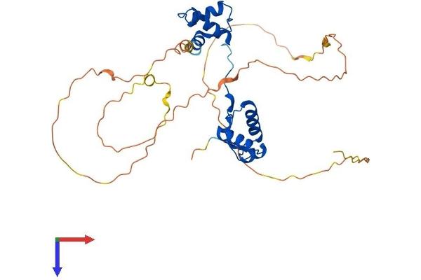 PAX9 Protein (AA 1-341) (His tag)