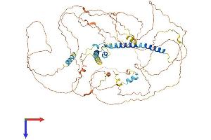 DACT2 Protein (AA 1-774) (His tag)