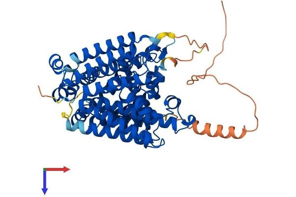 MBOAT2 Protein (AA 1-519) (His tag)