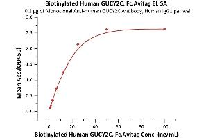 ELISA image for Guanylate Cyclase 2C (Heat Stable Enterotoxin Receptor) (GUCY2C) (AA 24-430) (Active) protein (Fc Tag,AVI tag,Biotin) (ABIN6973083)