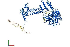 Protein Structure (PS) image for Kelch-Like ECH-Associated Protein 1 (KEAP1) (AA 1-624) protein (His tag) (ABIN7565305)