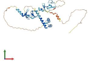 Protein Structure (PS) image for ISL LIM Homeobox 2 (ISL2) (AA 1-359) protein (His tag) (ABIN7548521)