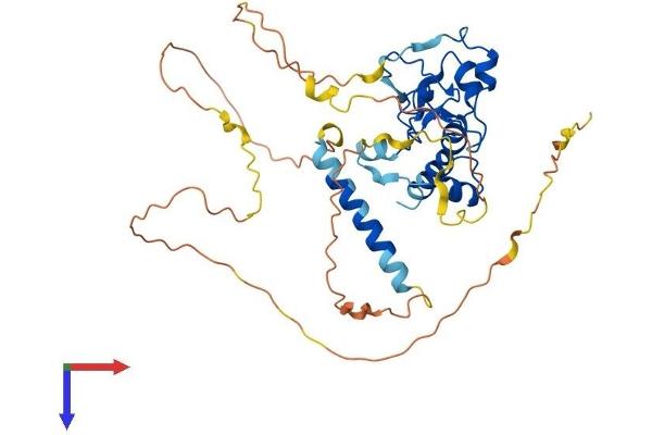 CDCA7 Protein (AA 1-371) (His tag)