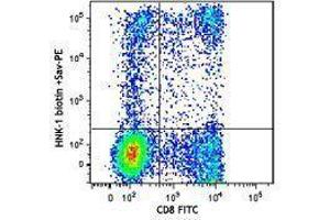 Flow Cytometry (FACS) image for anti-beta-1,3-Glucuronyltransferase 1 (Glucuronosyltransferase P) (B3GAT1) antibody (Biotin) (ABIN2660765) (CD57 Antikörper  (Biotin))