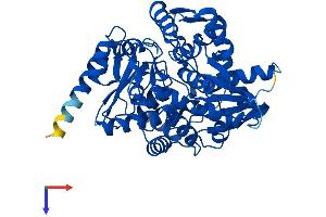 THNSL2 Protein (AA 1-484) (His tag)
