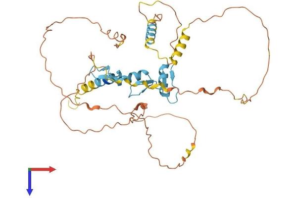 SP5 Protein (AA 1-398) (His tag)