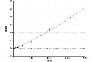 Synapsin I (SYN1) ELISA Kit