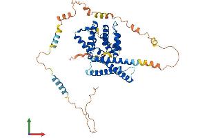 Protein Structure (PS) image for Target of Myb 1 (TOM1) (AA 1-492) protein (His tag) (ABIN7562661)