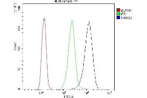 Flow Cytometry analysis of A431 cells using anti-TIF1 gamma antibody (ABIN3043492). (TRIM33 Antikörper  (AA 1001-1127))