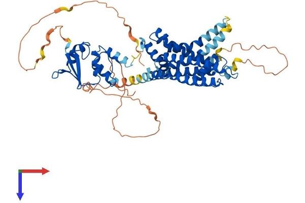 KCNA3 Protein (AA 1-528) (His tag)