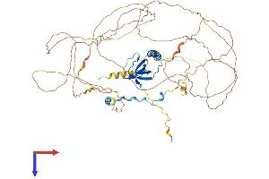 PRAM1 Protein (AA 1-675) (His tag)