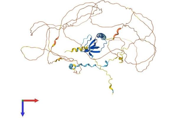 PRAM1 Protein (AA 1-675) (His tag)