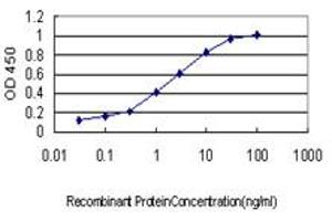 ELISA image for anti-Thymidylate Synthetase (TYMS) (AA 111-210) antibody (ABIN563306)