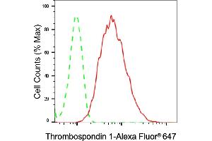 anti-Thrombospondin 1 (THBS1) antibody