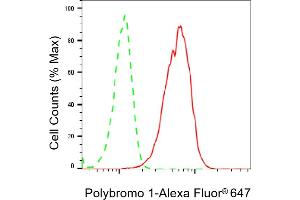 Flow cytometric analysis of Polybromo 1 expression in HepG2 cells using Polybromo 1 antibody (ABIN7799873), 1:2,000).