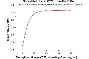 ELISA image for 5'-Nucleotidase, Ecto (CD73) (NT5E) (AA 27-549) (Active) protein (His tag,AVI tag,Biotin) (ABIN6810044)