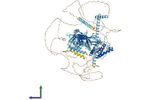 Protein Structure (PS) image for Eukaryotic Translation Initiation Factor 5B (EIF5B) (AA 1-1216) protein (His tag) (ABIN7563603)