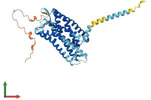 AlphaFold protein structure predicition of Human Recombinant OPRL1 Protein, UniprotID P41146