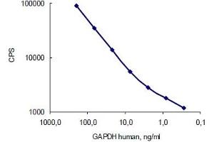 Antigen: Human GAPDH, Capture: GAPDH antibody (10R-G109a) served as a coating; Detection: GAPDH antibody (10R-G109a)  (labelled with stable Eu3+ chelate). (GAPDH Antikörper)