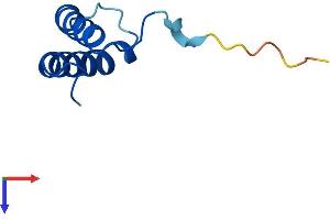 TRIAP1 Protein (AA 1-76) (Fc Tag)