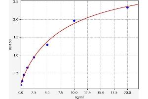 ICAM2 ELISA Kit