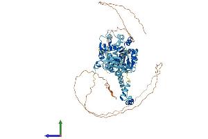 Protein Structure (PS) image for DEAD (Asp-Glu-Ala-Asp) Box Polypeptide 50 (DDX50) (AA 1-737) protein (His tag) (ABIN7547066)