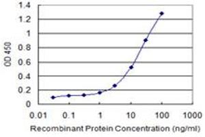 Detection limit for recombinant GST tagged PROK1 is 0. (Prokineticin 1 Antikörper  (AA 1-105))