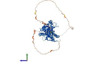 Protein Structure (PS) image for Chromosome 6 Open Reading Frame 150 (C6orf150) (AA 1-522) protein (His tag) (ABIN7553246)